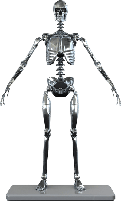 Mark I Endoskeleton  Sixth Scale Figure Image