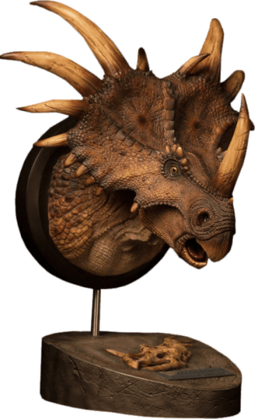 Styracosaurus  Bust Image