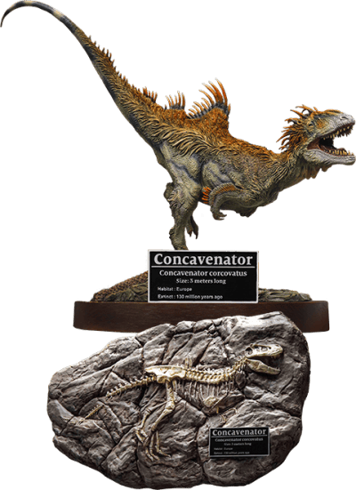 Concavenator Deluxe Statue