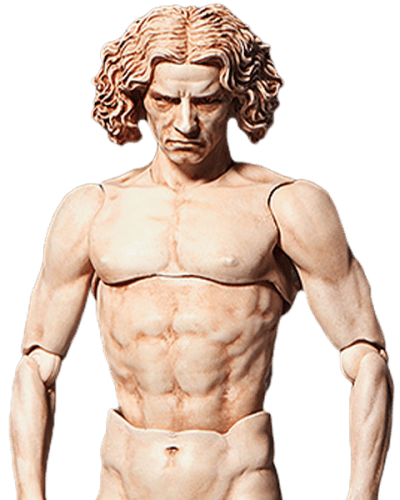 Vitruvian Man Figma The Table Museum Collectible Figure Image