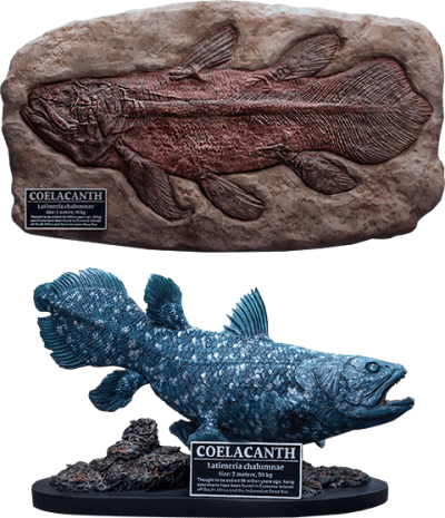 Coelacanth (Deluxe Version) Statue