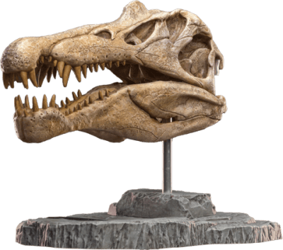 Spinosaurus Head Skull Scaled Replica
