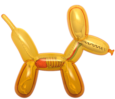 Balloon Dog Anatomy (Honey Edition) Mighty Jaxx Originals Collectible Figure Image