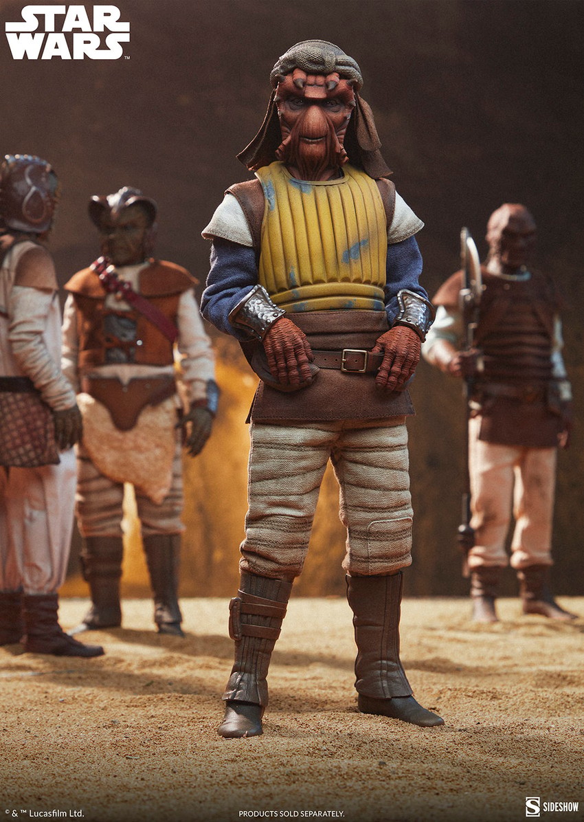 Star Wars Vizam™ Sixth Scale Figure - Prototype Shown View 4
