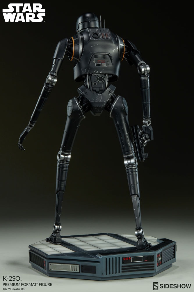K-2SO View 5