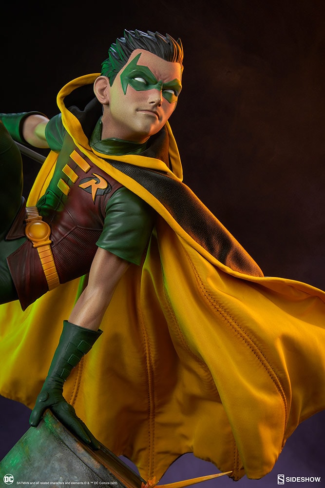 Robin Collector Edition  View 3