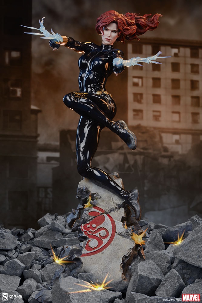 Black Widow View 1