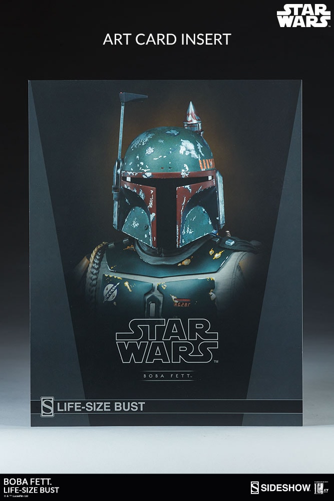 Boba Fett View 5