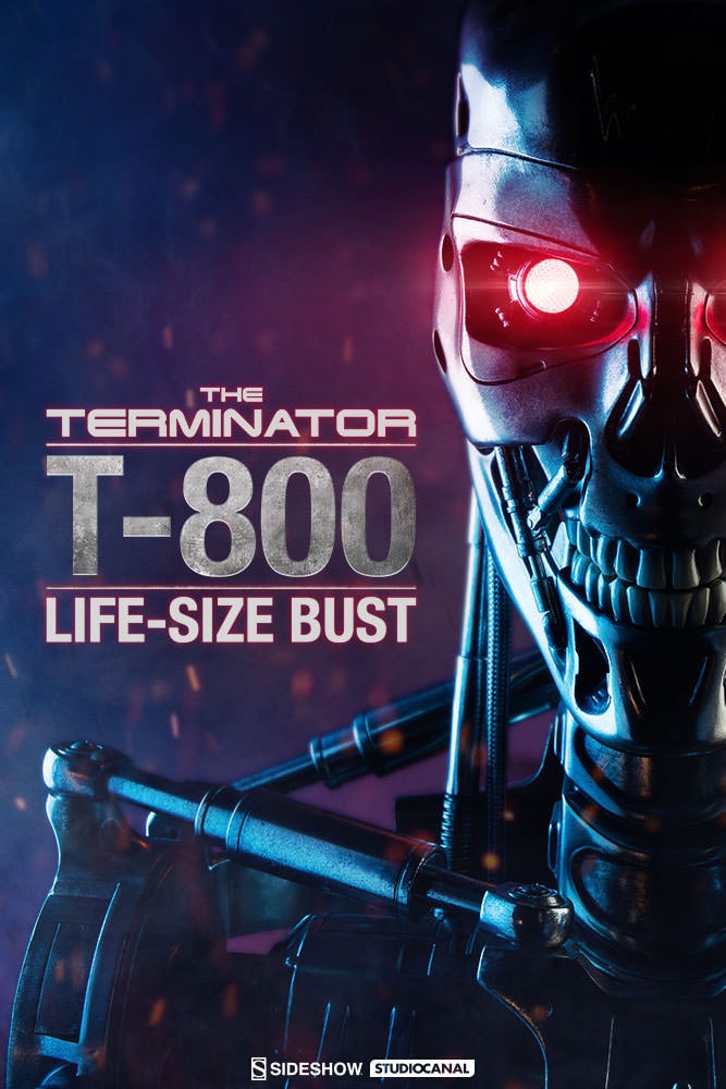 The Terminator View 1