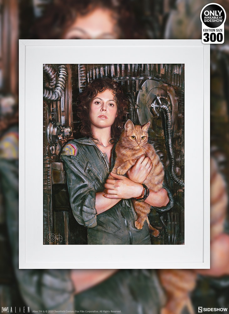 Ripley View 2