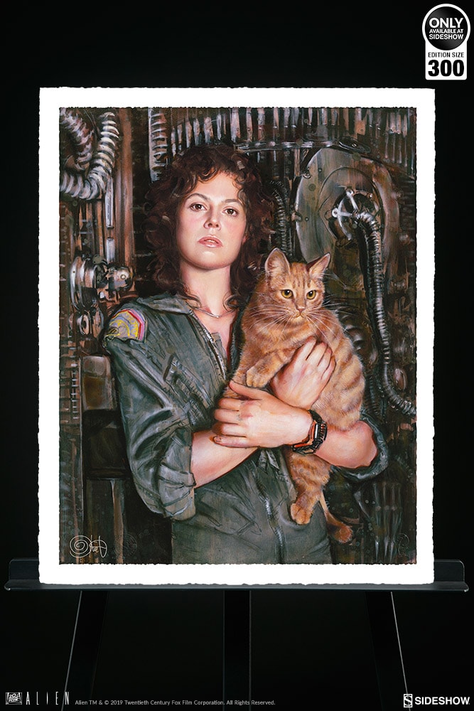 Ripley View 2