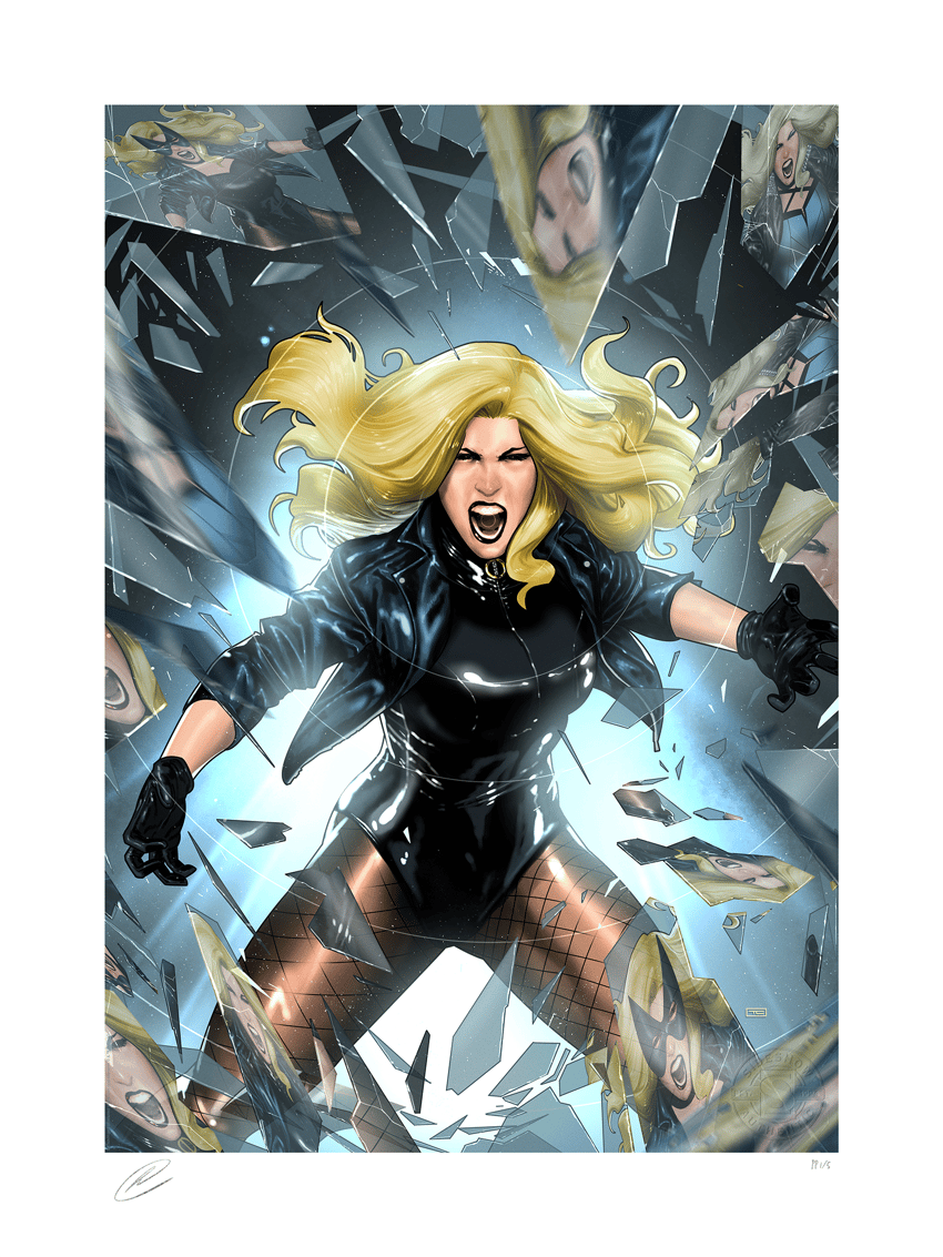 Black Canary Exclusive Edition  View 2