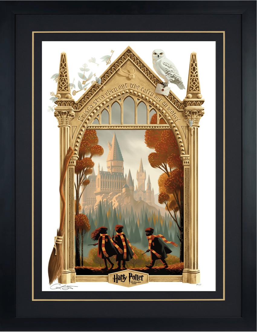 Harry Potter Harry Potter and the Philosopher's Stone Variant Movie Poster  Exclusive Edition  View 4