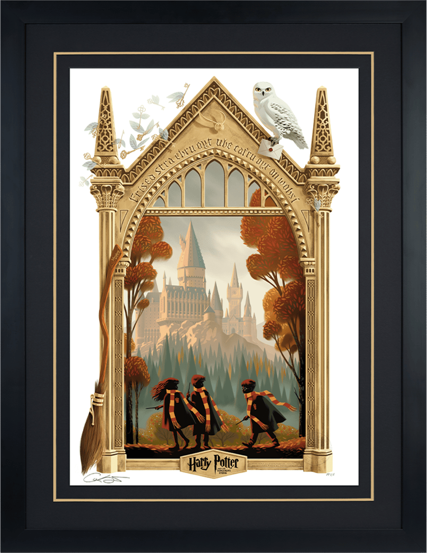 Harry Potter Harry Potter and the Sorcerer's Stone Movie Poster  Exclusive Edition  View 4