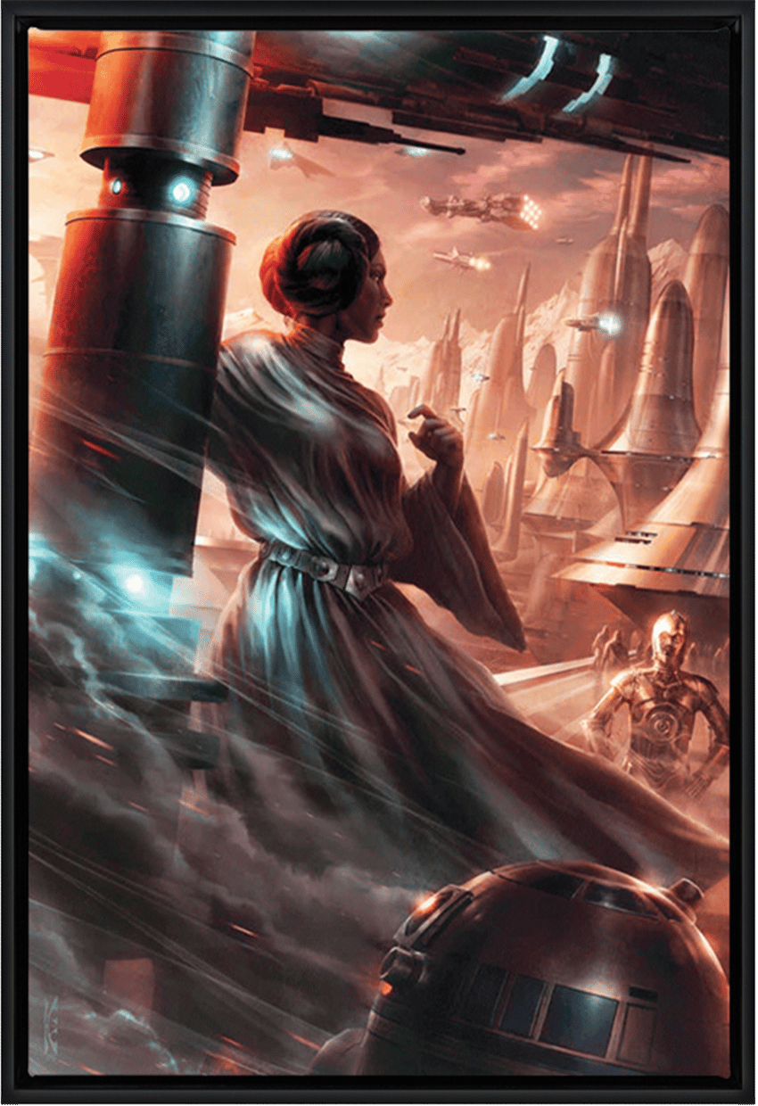 Star Wars Last Look Back Art Print  View 3