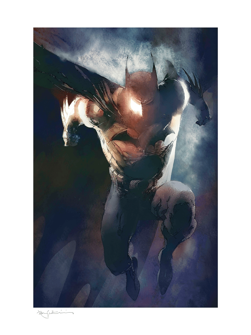 DC Comics Batman™: Guardian Art Print  View 5