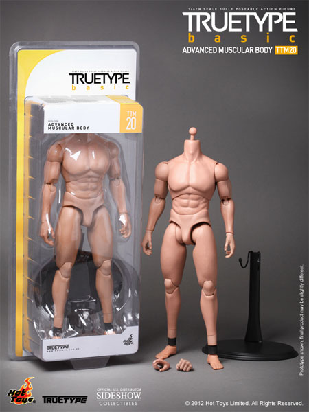 TrueType - Advanced Muscular Body Sixth Scale Figure by Hot