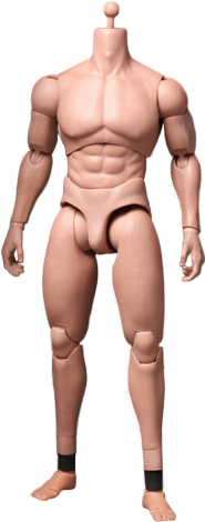 TrueType - Advanced Muscular Body Sixth Scale Figure  View 2