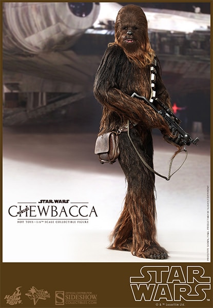 Han Solo and Chewbacca View 2