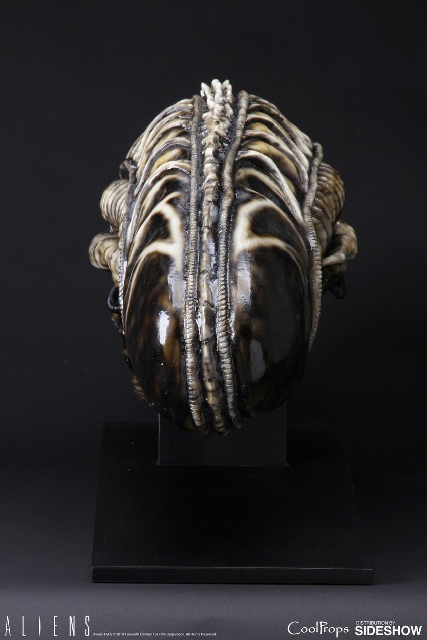 クールプロップス　エイリアン3　ライフサイズヘッド　エイリアン　サイドショウ Aliens Alien Warrior Life-Size Head Prop Replica by CoolProp