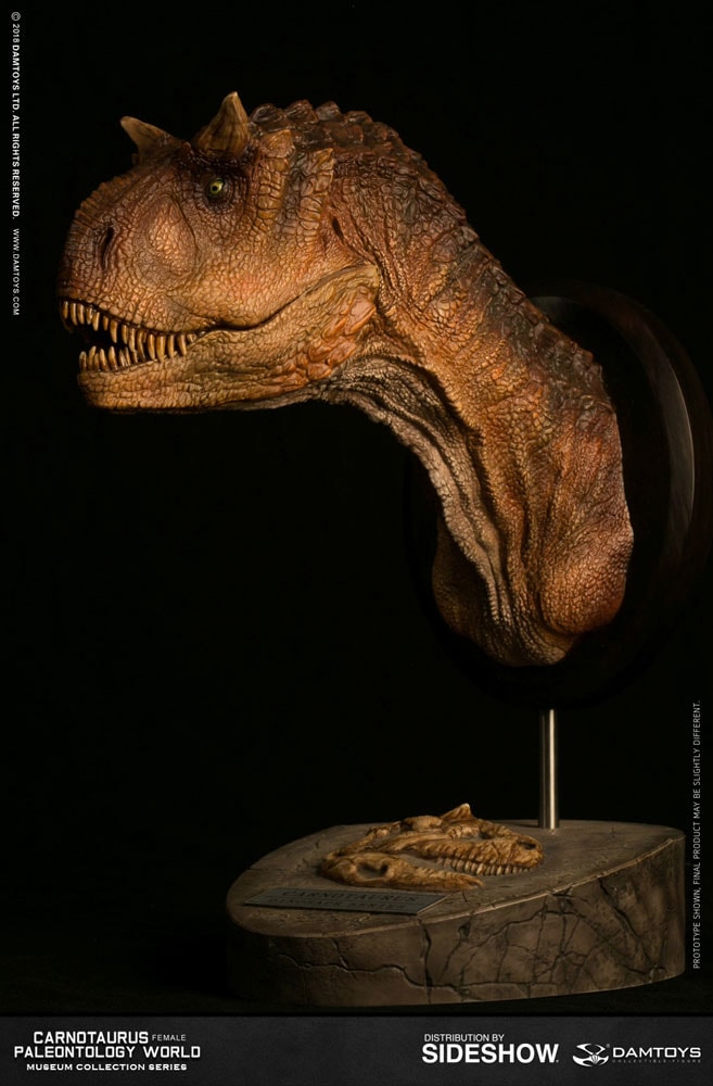 Carnotaurus Female Bust - Prototype Shown View 4