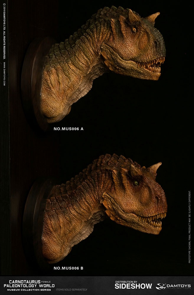 Carnotaurus Female Bust - Prototype Shown View 5