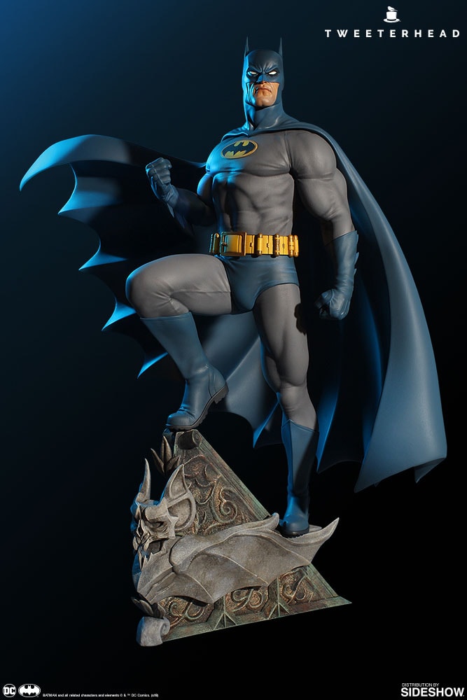 Super Powers Batman- Prototype Shown View 1