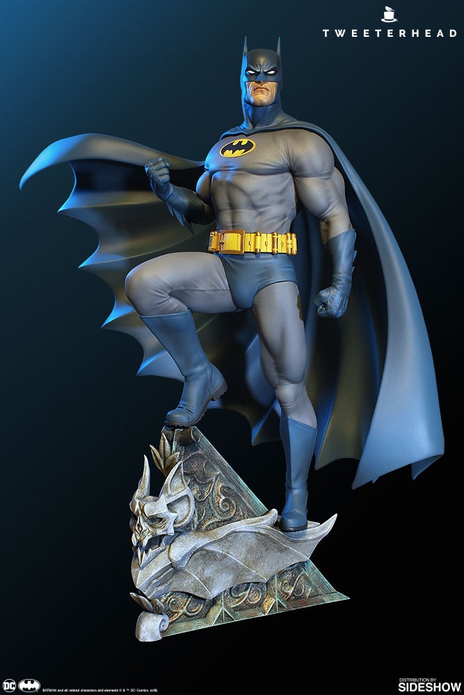 Super Powers Batman- Prototype Shown View 2