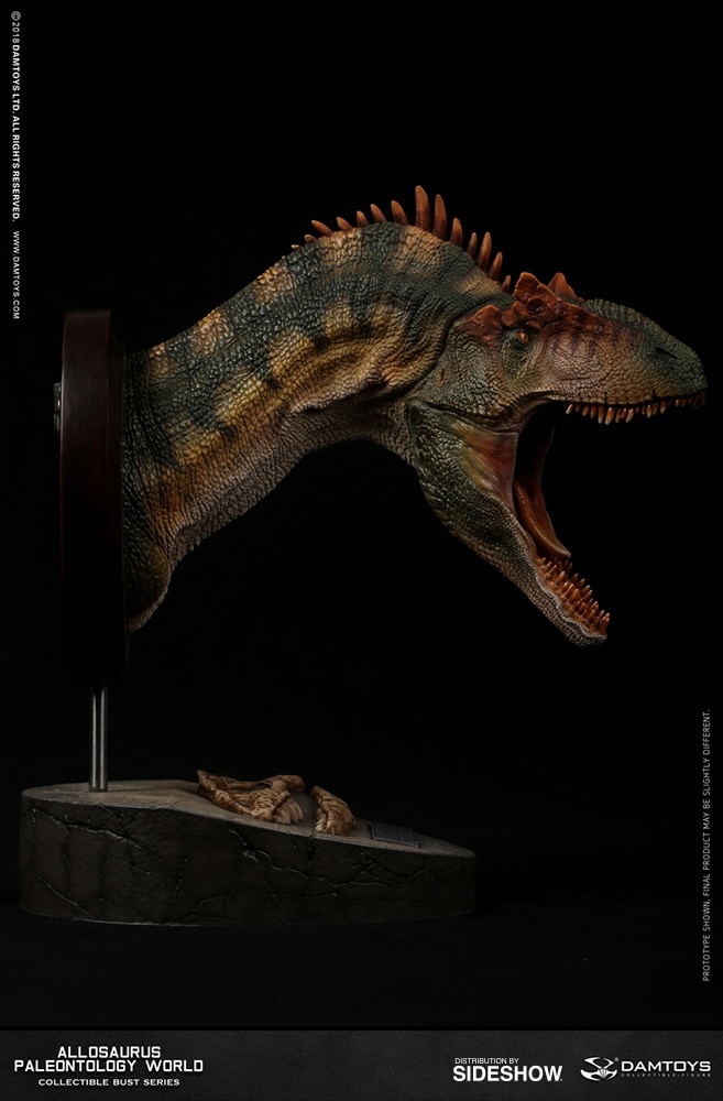 Allosaurus Bust - Prototype Shown View 1