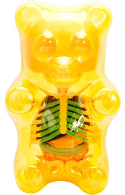 Funny Anatomy Gummi Bear (Clear Yellow) Art Collectible by Jason