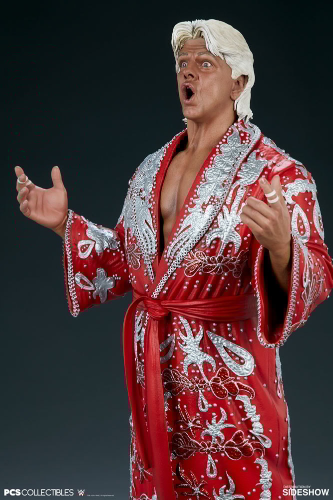 Ric Flair Collector Edition - Prototype Shown