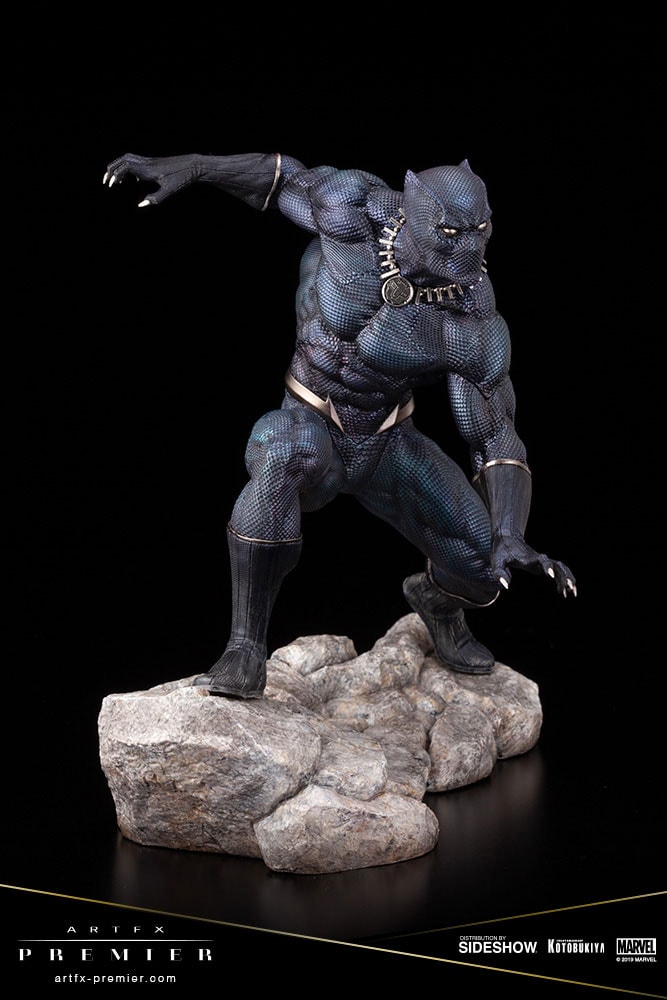 Black Panther- Prototype Shown View 2