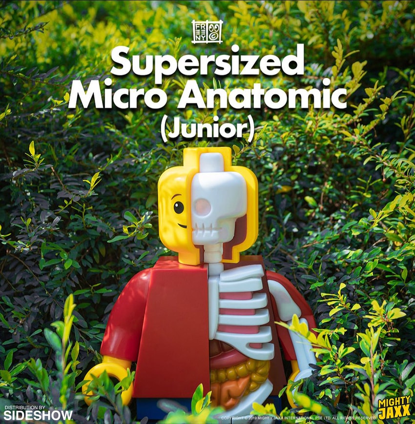 Supersized Mico Anatomic Junior Collectible Figure by Jason