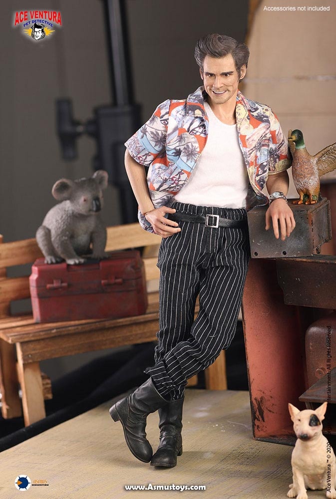 Ace Ventura: Pet Detective Ace Ventura Sixth Scale Figure - Prototype Shown View 3