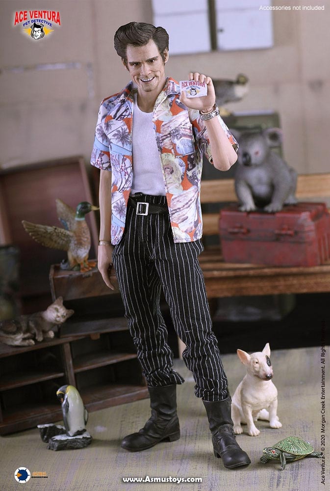Ace Ventura: Pet Detective Ace Ventura Sixth Scale Figure - Prototype Shown View 4
