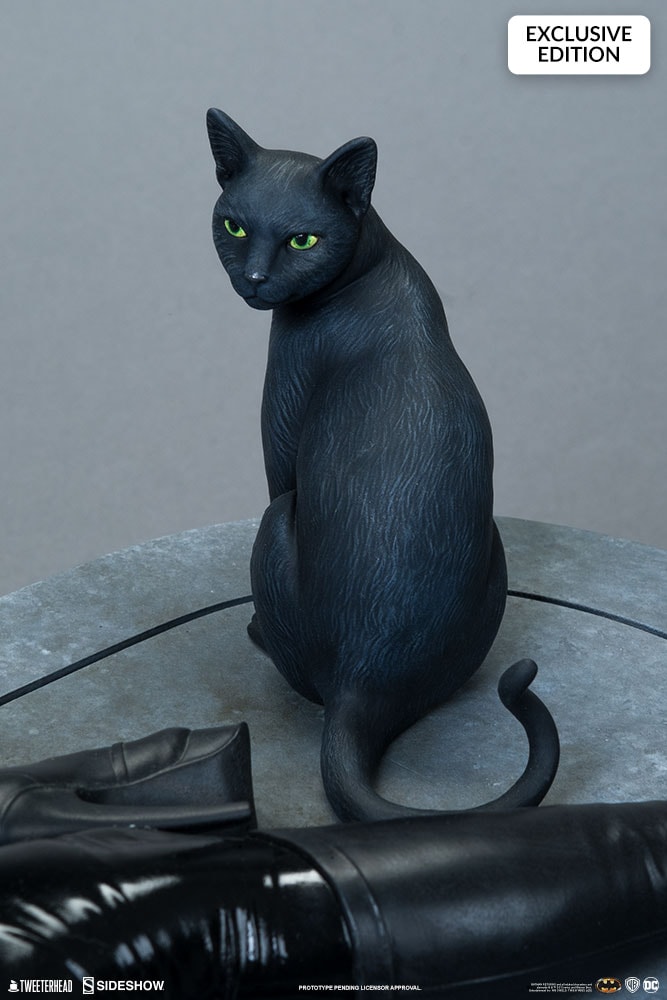 Catwoman Exclusive Edition - Prototype Shown