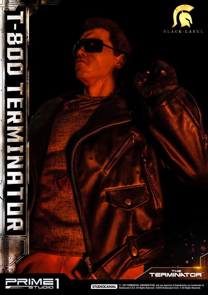T-800 Terminator Collector Edition - Prototype Shown View 3