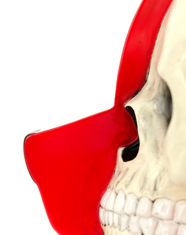 Dissected Bear Head (White)- Prototype Shown