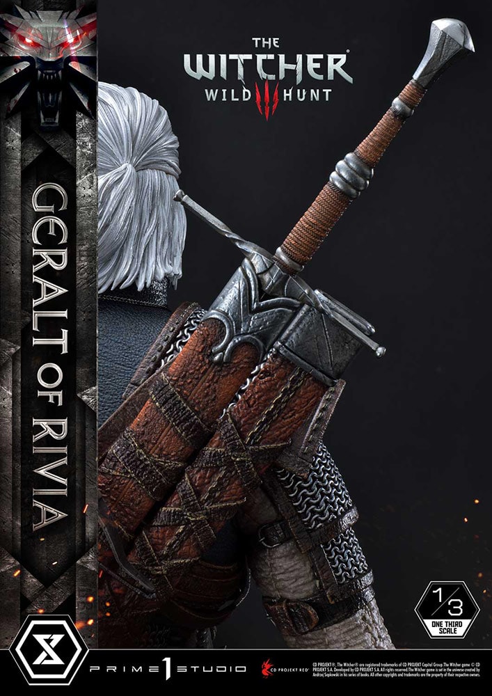 Geralt of Rivia Collector Edition - Prototype Shown View 4