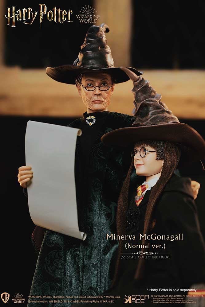 Minerva McGonagall Collector Edition - Prototype Shown View 2