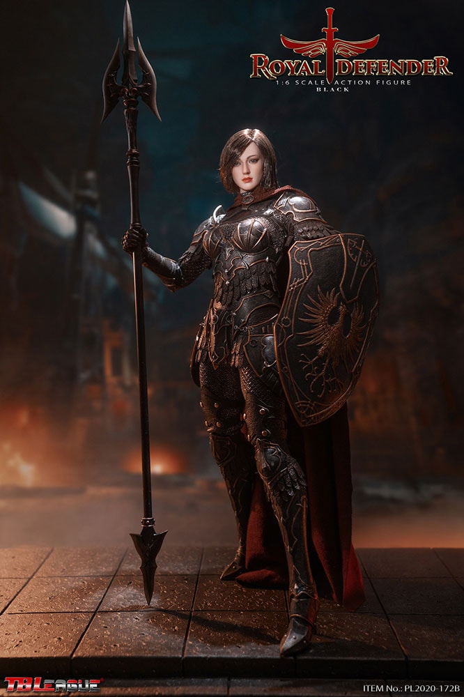 Royal Defender (Black) Sixth Scale Figure  View 6