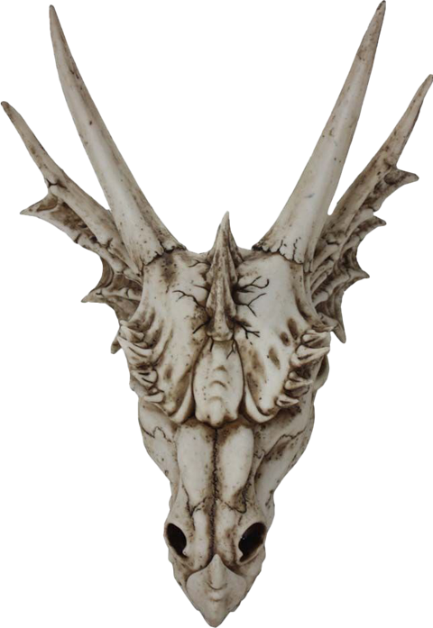 The Last Dragon Skull