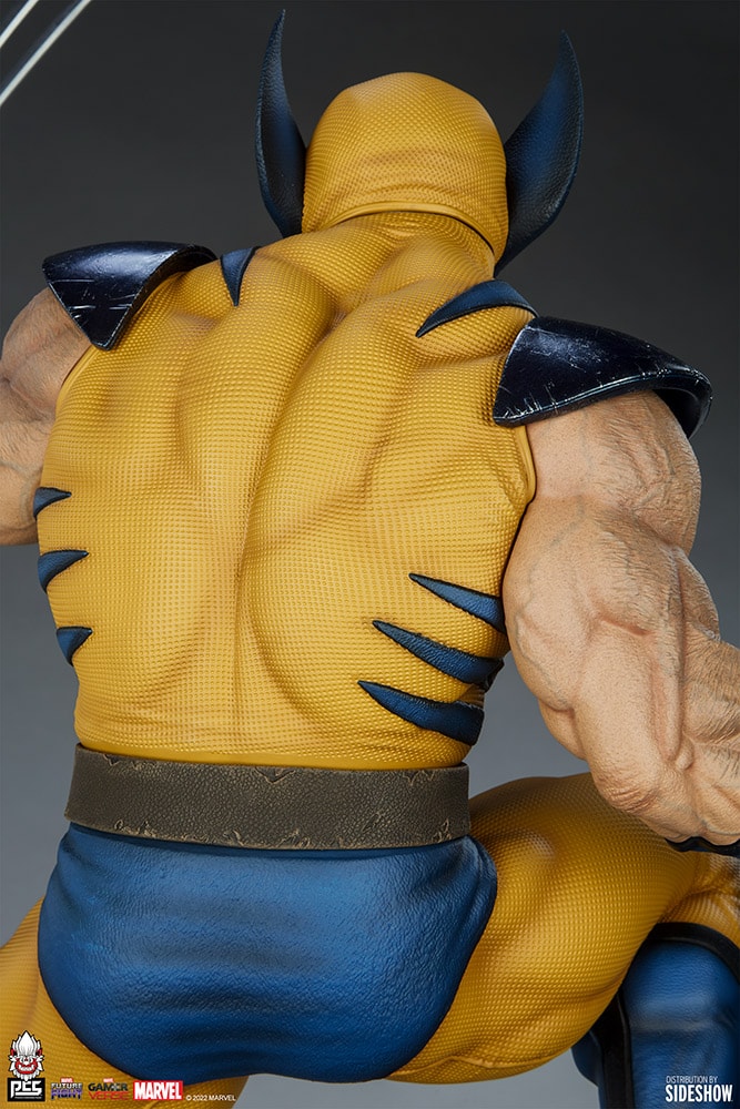 Wolverine View 2