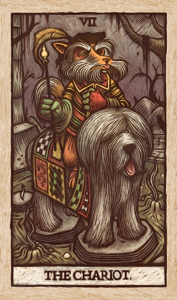Labyrinth Labyrinth Tarot Deck and Guidebook Book  View 3