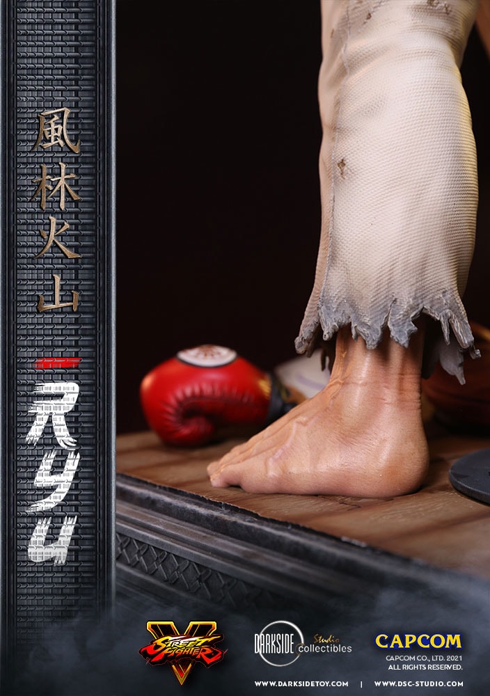 Ryu- Prototype Shown View 5