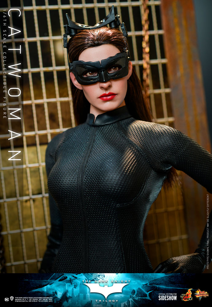 DC Comics Catwoman Sixth Scale Figure - Prototype Shown View 6