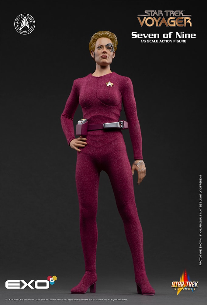 Star Trek Seven of Nine Sixth Scale Figure - Prototype Shown View 4