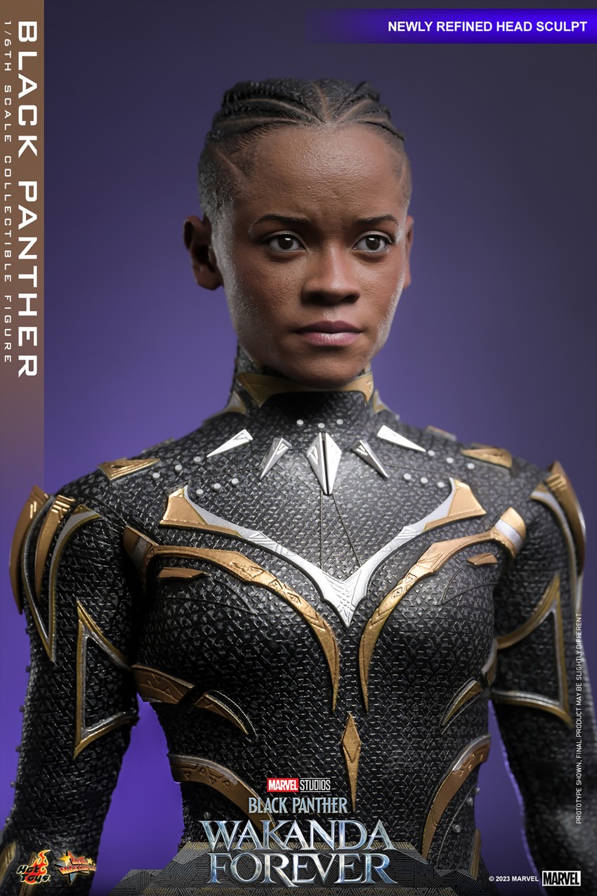 Black Panther Sixth Scale Figure by Hot Toys | Sideshow Collectibles
