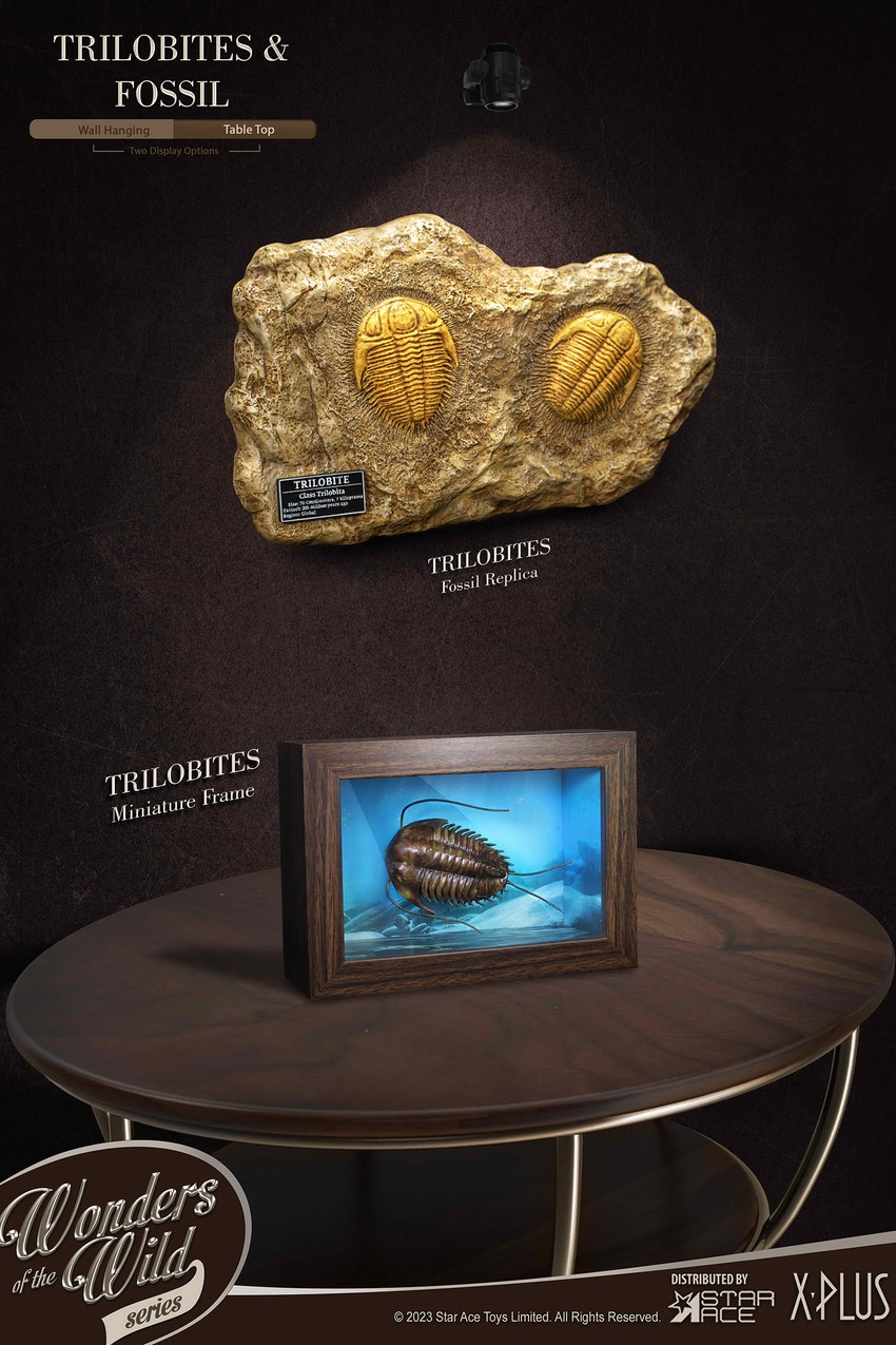 Trilobites Miniature Frame & Fossil Deluxe- Prototype Shown