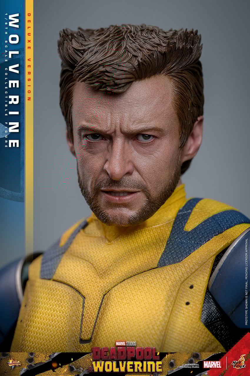 Wolverine (Deluxe Version) Sixth scale Figure by Hot Toys